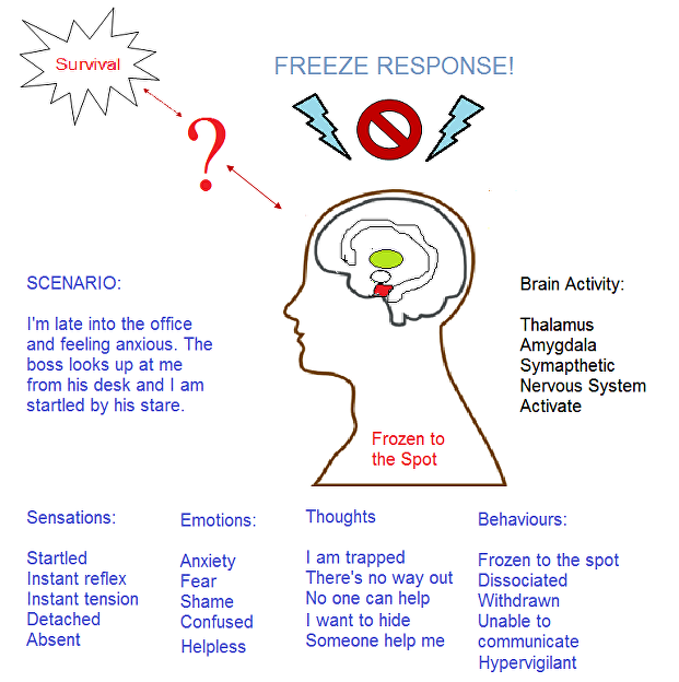 Freeze response